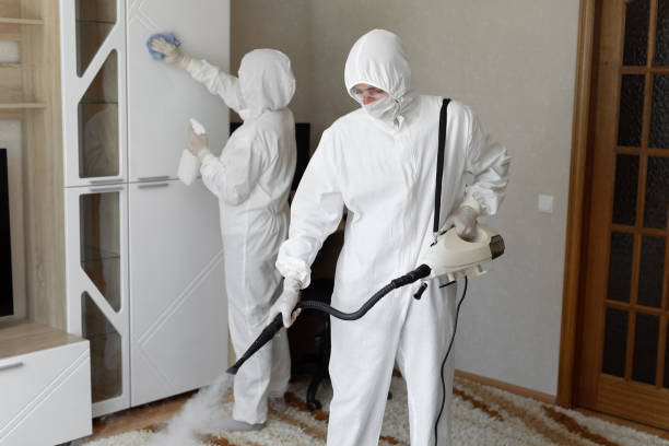 Best Mold Removal and Inspection  in Ridgeway, VA